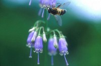 /album/%ed%8f%ac%ed%86%a0%ea%b0%a4%eb%9f%ac%eb%a6%ac%3a-%ed%99%88%ed%8e%98%ec%9d%b4%ec%a7%80/a74-%ec%9e%94%7e1-jpg/